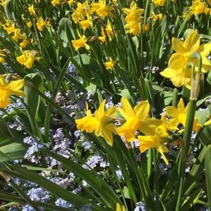 Meet your Posher, Deborah